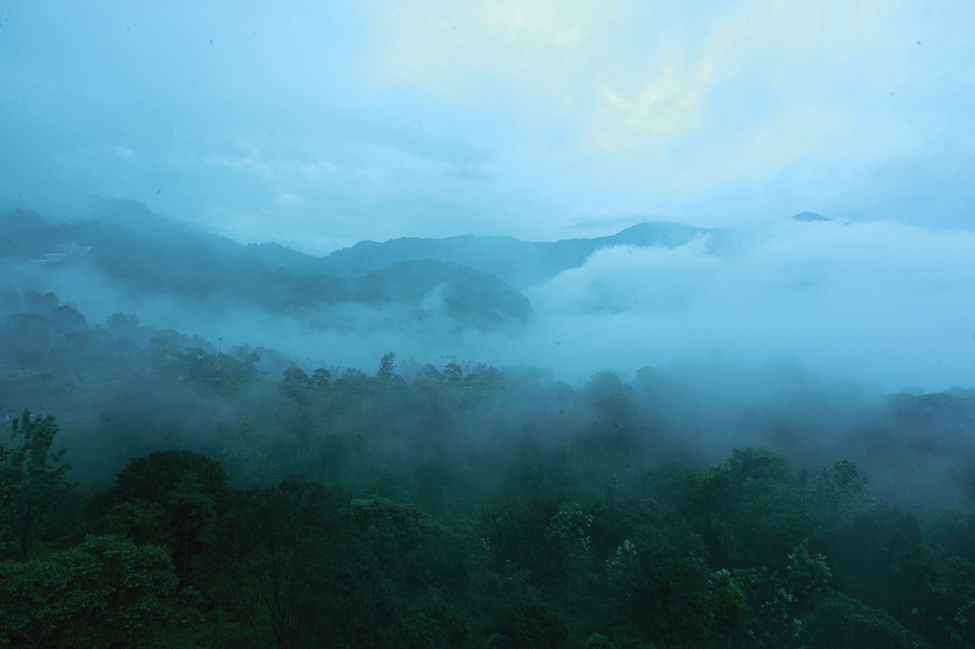 Bellavista Resort Munnar Exteriér fotografie