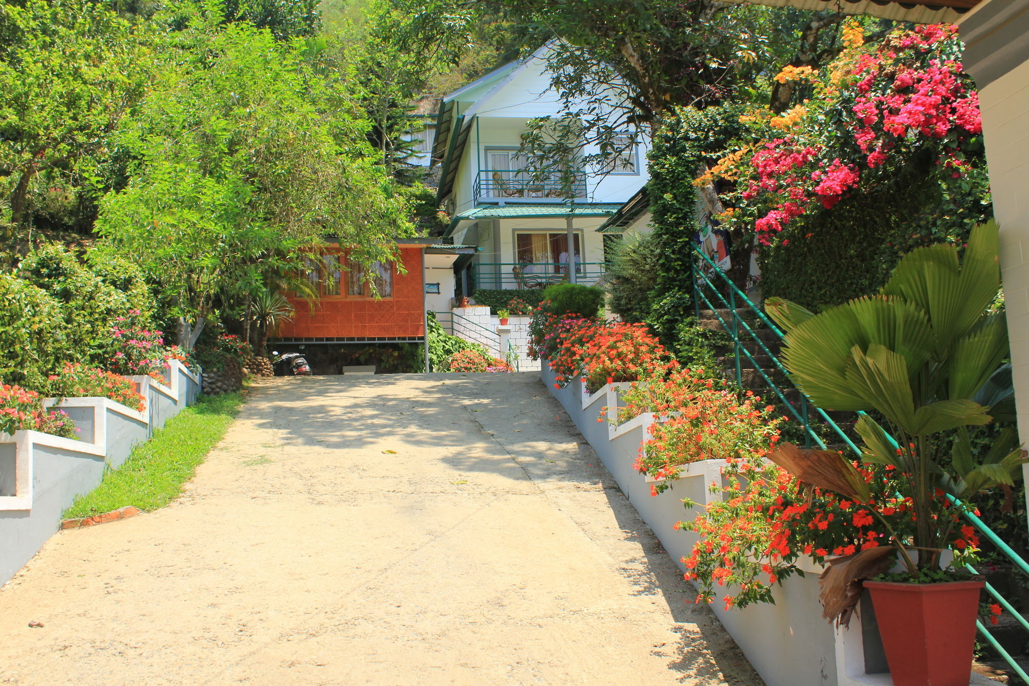 Bellavista Resort Munnar Exteriér fotografie